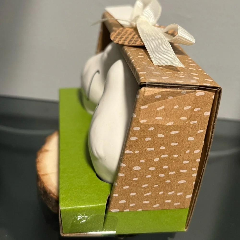 Rae Dunn salt and pepper Shaker Set